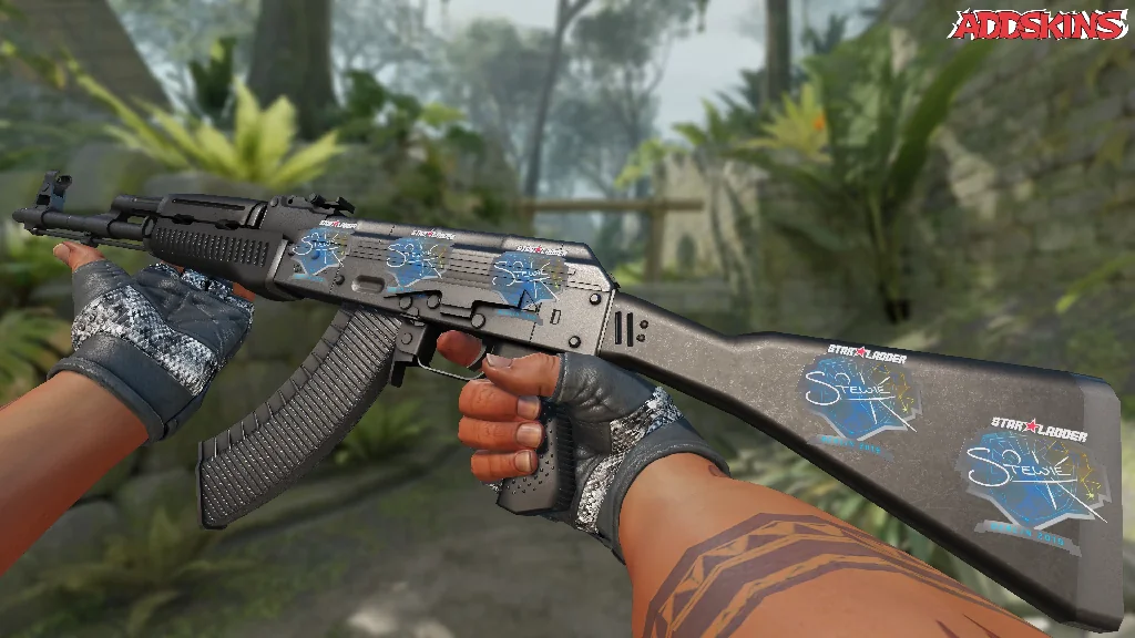 Sticker | Stewie2K | Berlin 2019 inspecting