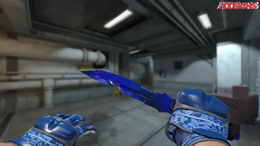 ★ Survival Knife | Doppler Phase 4 holding