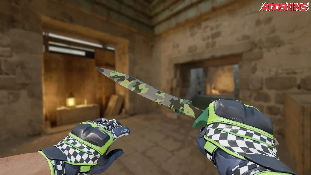 ★ Classic Knife | Boreal Forest holding