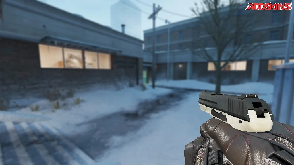 P2000 | Ivory holding