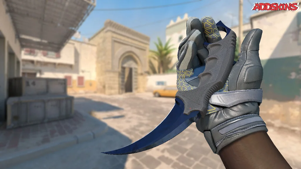 ★ Karambit | Blue Steel inspecting