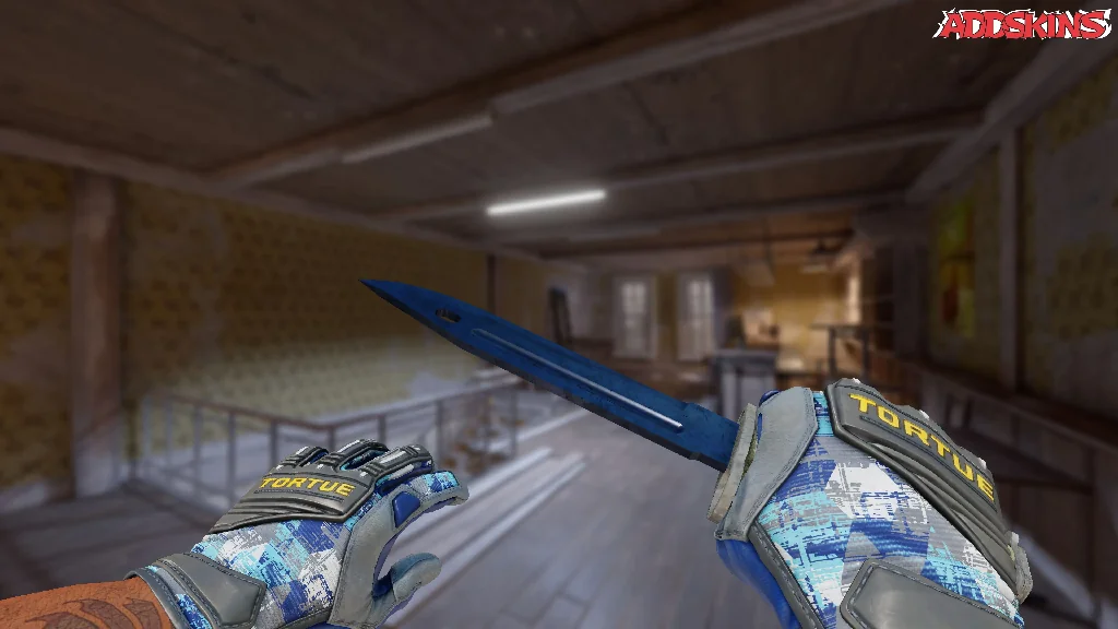 ★ Bayonet | Blue Steel holding