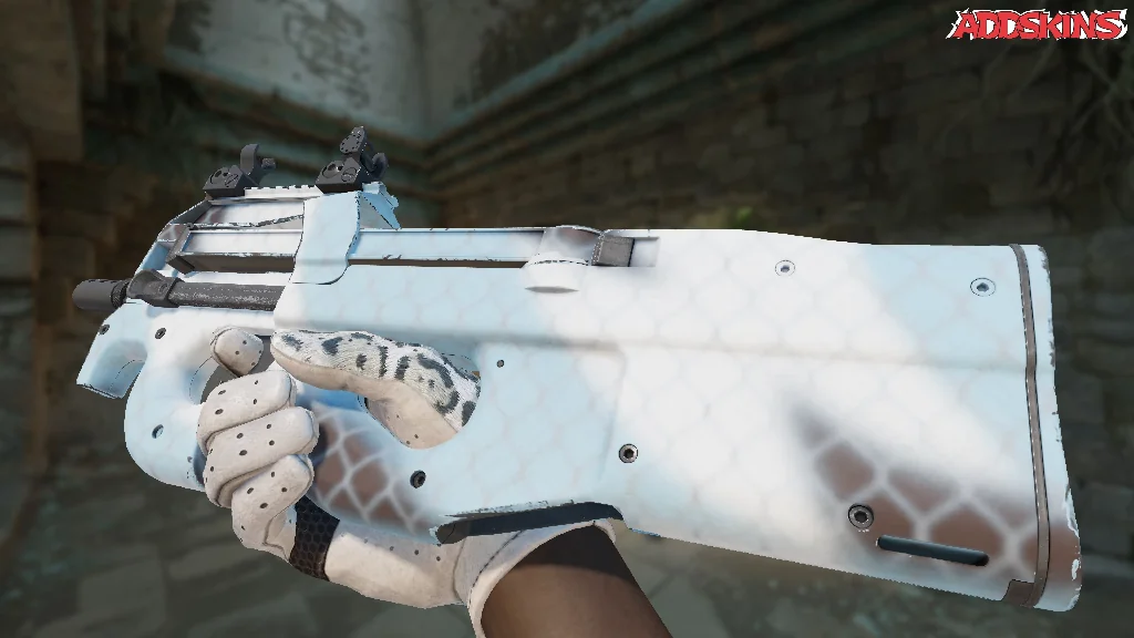 P90 | Glacier Mesh inspecting