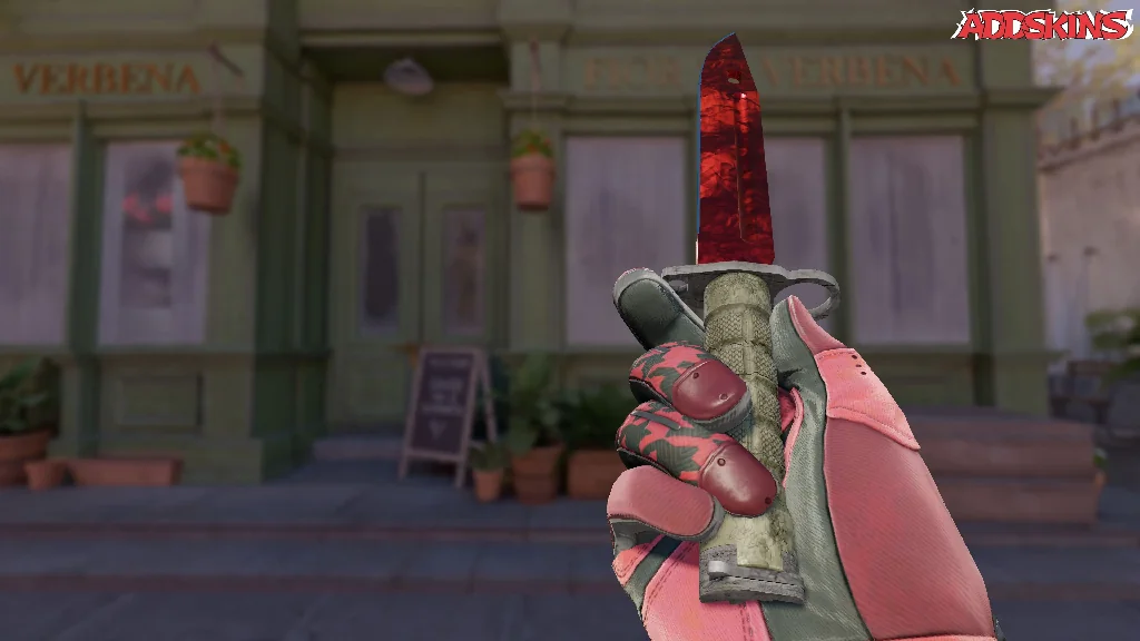 ★ Bayonet | Doppler Ruby inspecting