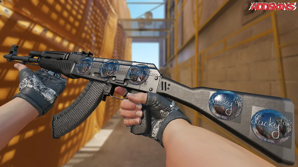 Sticker | Lucky (Foil) | Katowice 2019 inspecting