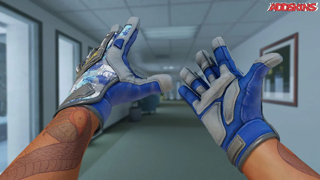 ★ Specialist Gloves | Mogul inspecting