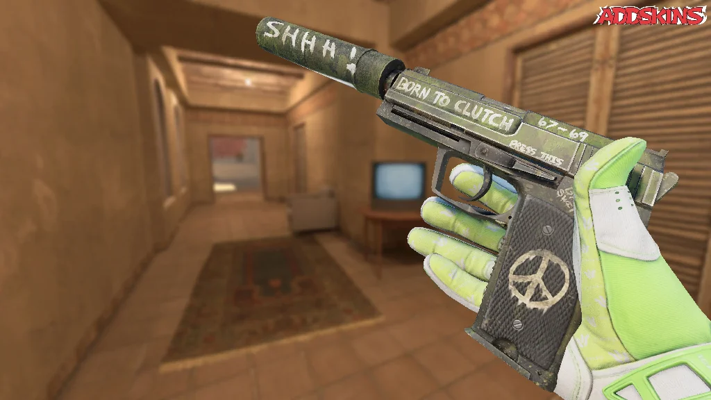 USP-S | Flashback inspecting
