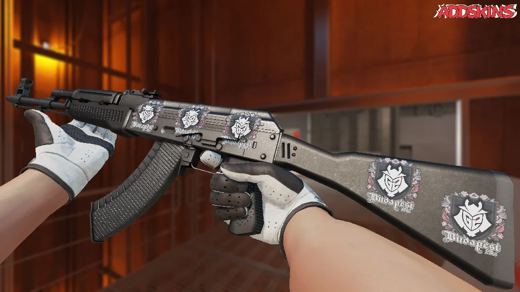 Sticker | G2 esports | Budapest 2025 inspecting