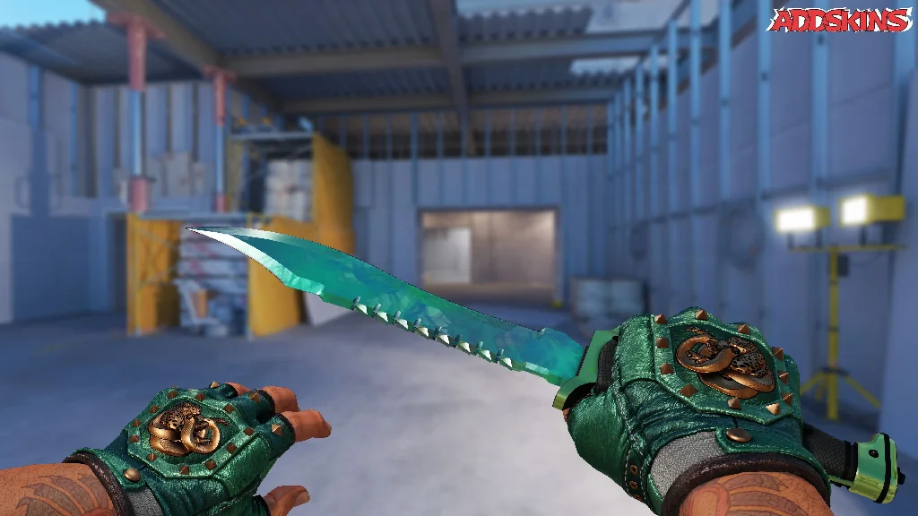 ★ Bowie Knife | Gamma Doppler Phase 2 holding