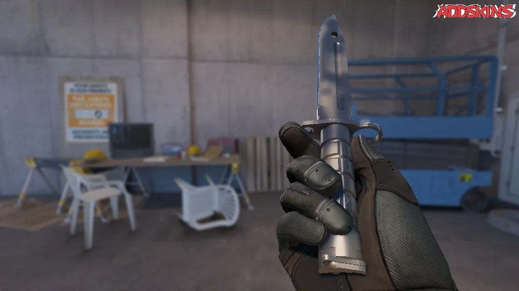 ★ Bayonet | Scorched inspecting
