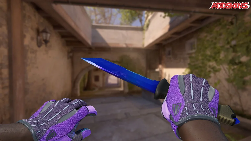 ★ Ursus Knife | Doppler Sapphire holding