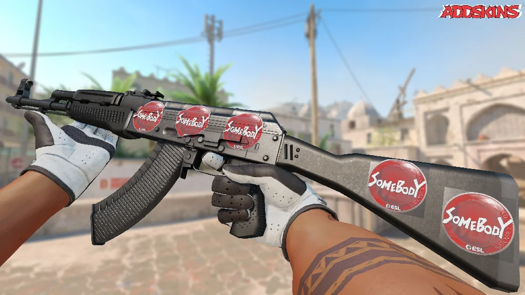 Sticker | somebody | Katowice 2019 inspecting