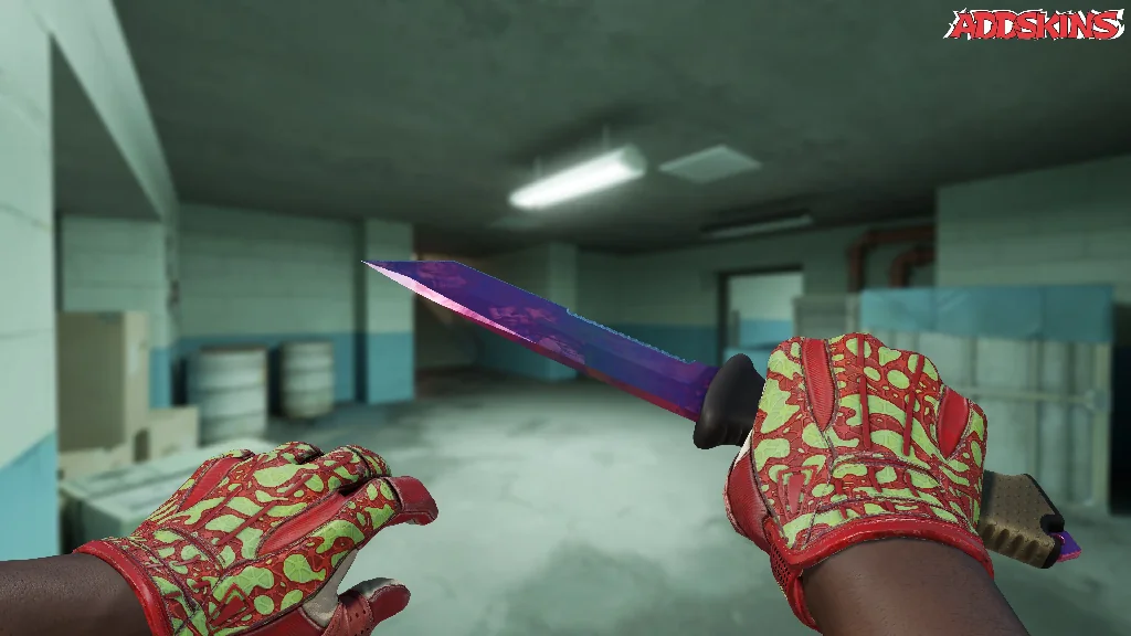 ★ Ursus Knife | Doppler Phase 2 holding