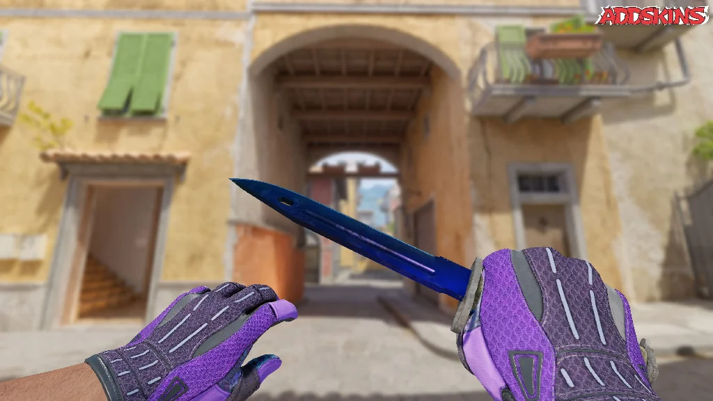 ★ Bayonet | Doppler Phase 3 holding