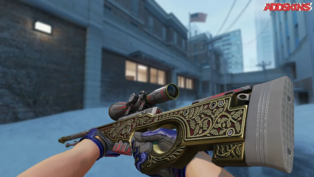 AWP | The Prince inspecting