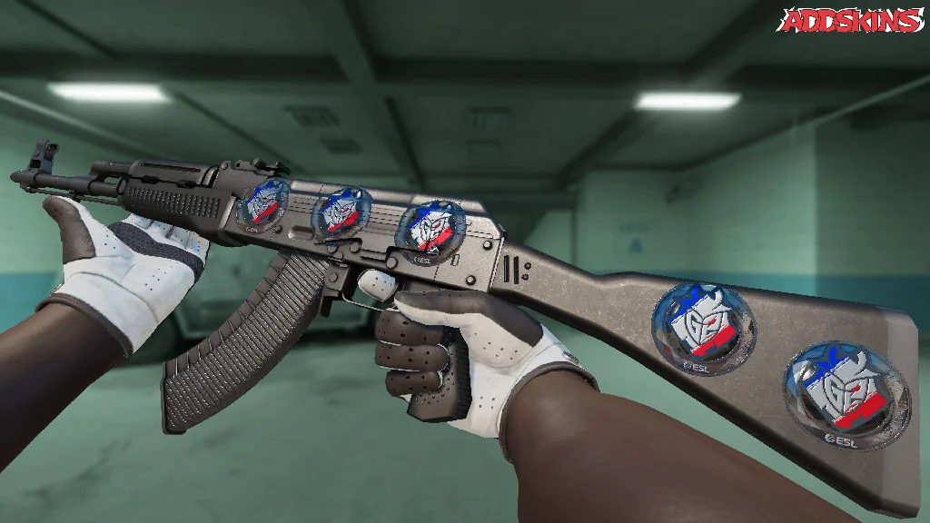 Sticker | G2 Esports (Foil) | Katowice 2019 inspecting