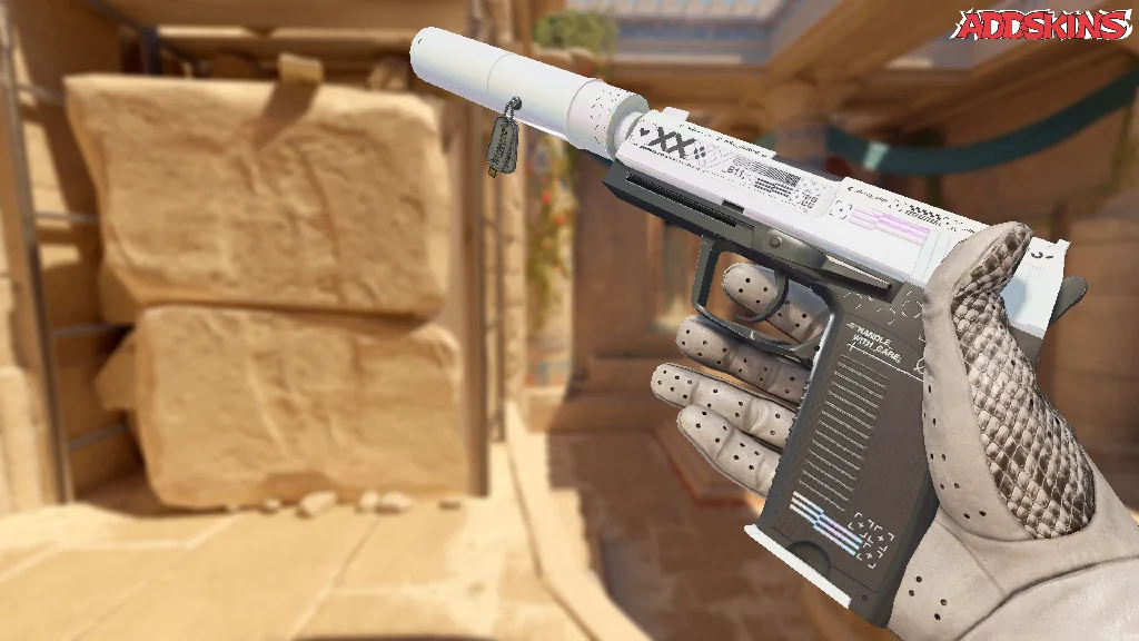Charm | Austin 2025 Highlight | dav1deuS Double Anubis Kill inspecting
