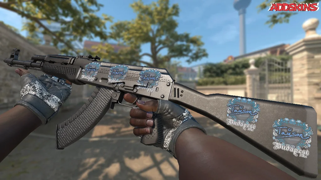 Sticker | Tauson | Budapest 2025 inspecting