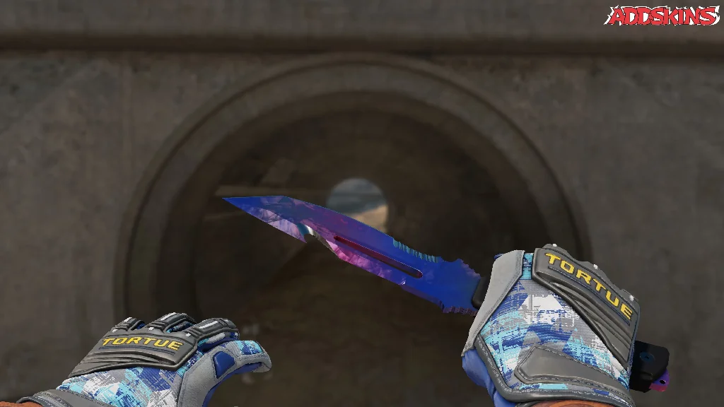 ★ Survival Knife | Doppler Phase 1 holding