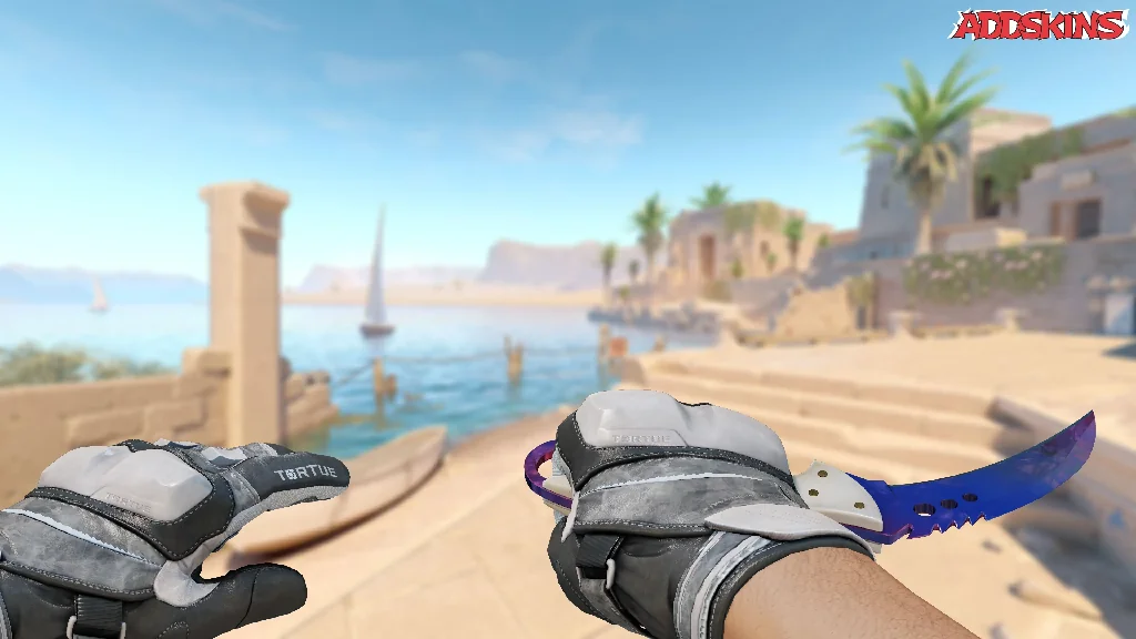 ★ Talon Knife | Doppler holding