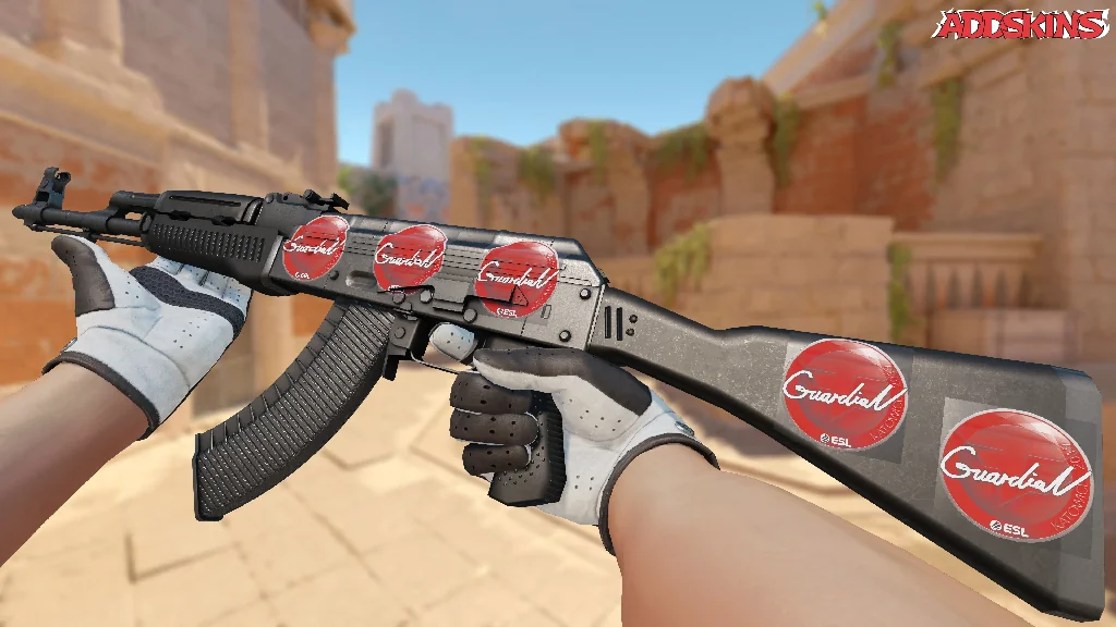 Sticker | GuardiaN | Katowice 2019 inspecting