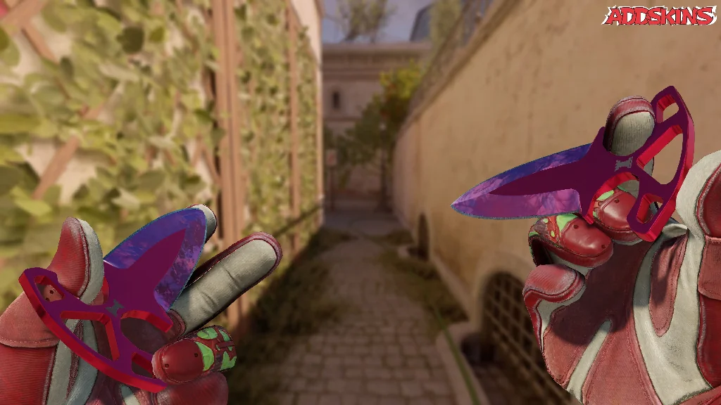 ★ Shadow Daggers | Doppler Phase 2 inspecting