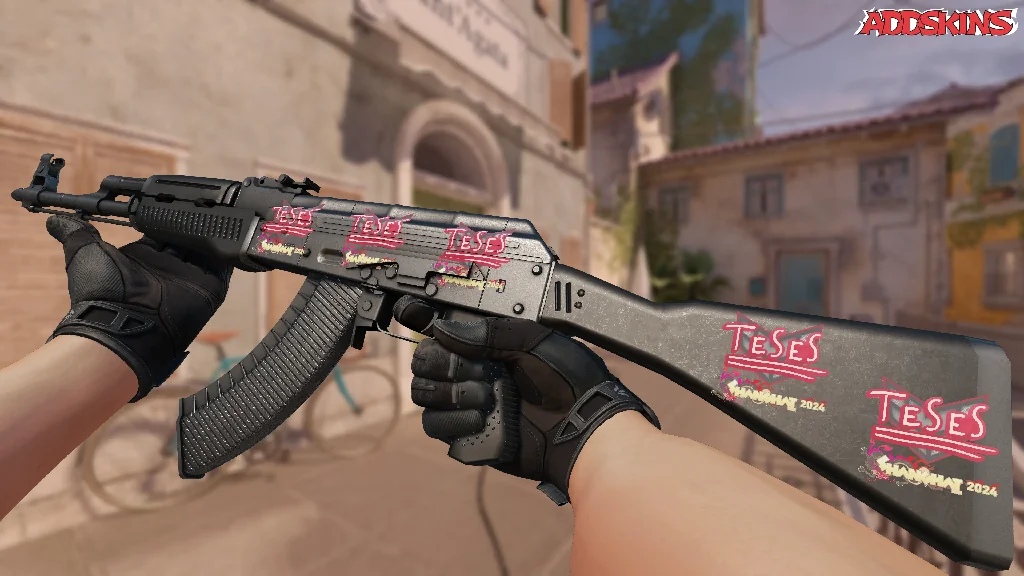 Sticker | TeSeS | Shanghai 2024 inspecting