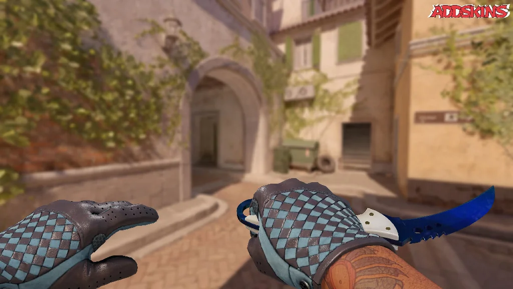 ★ Talon Knife | Doppler Phase 3 holding