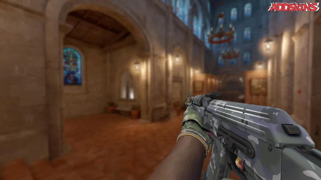 AK-47 | VariCamo Grey holding