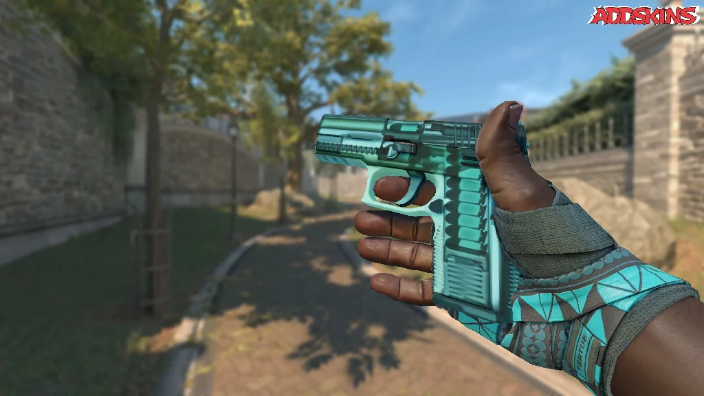 P250 | X-Ray inspecting