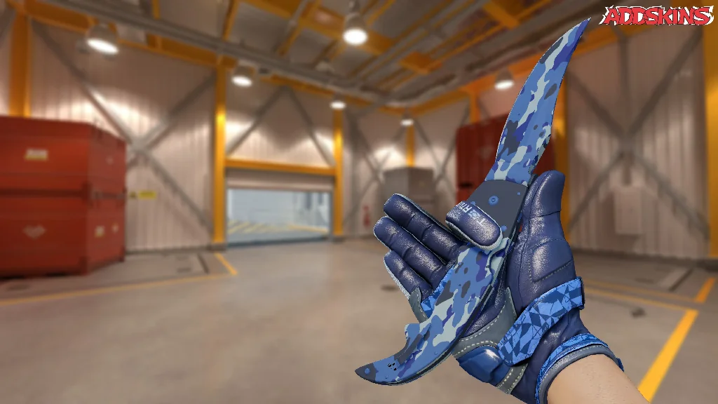 ★ Falchion Knife | Bright Water inspecting