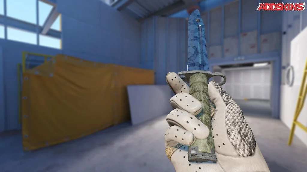 ★ Bayonet | Stained inspecting
