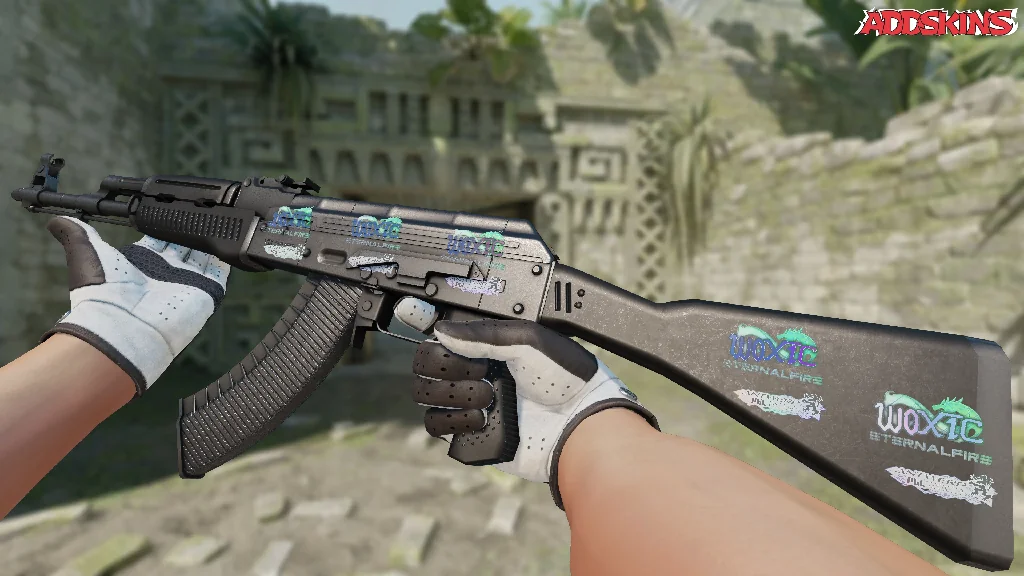 Sticker | woxic (Holo) | Antwerp 2022 inspecting