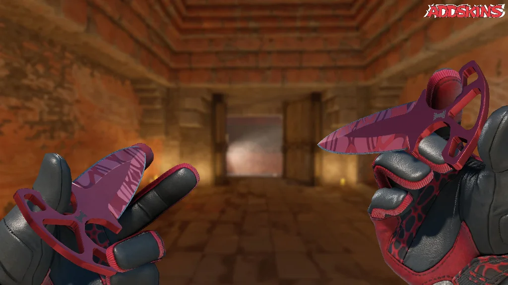 ★ Shadow Daggers | Slaughter inspecting