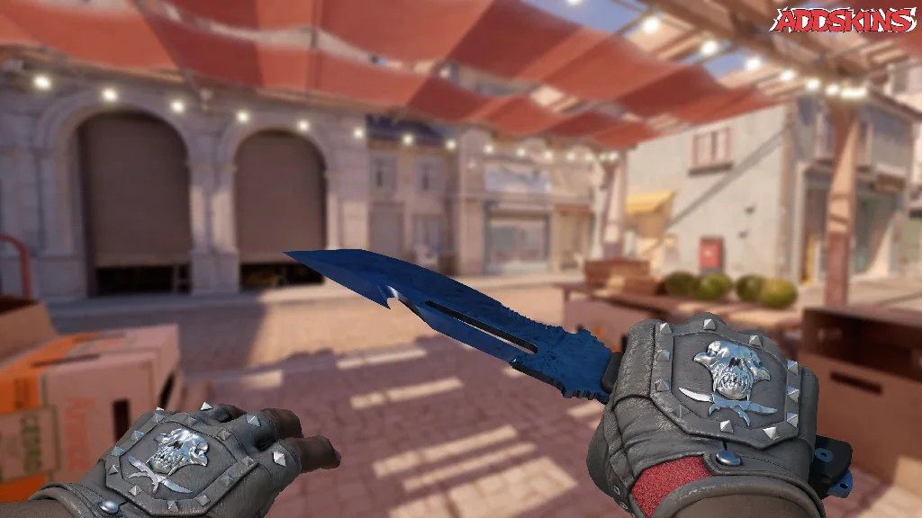 ★ Survival Knife | Blue Steel holding
