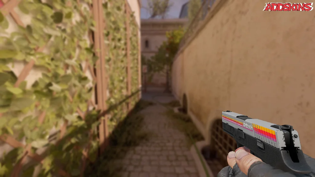 P250 | Cassette holding