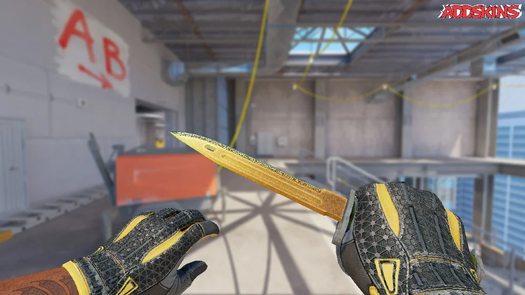 ★ Bayonet | Lore holding