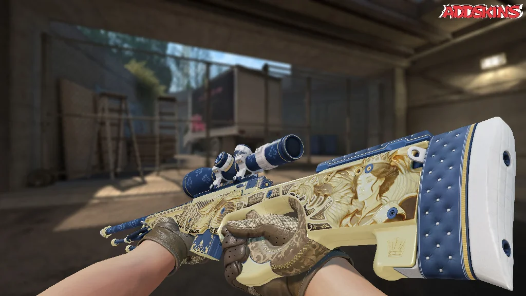 AWP | Queen's Gambit inspecting