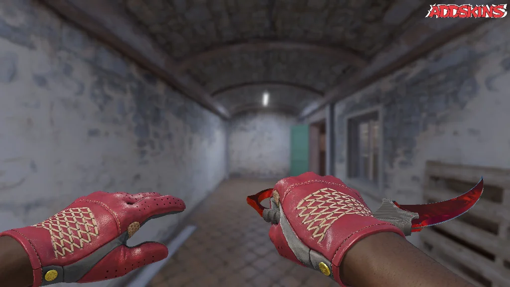 ★ Karambit | Doppler Ruby holding