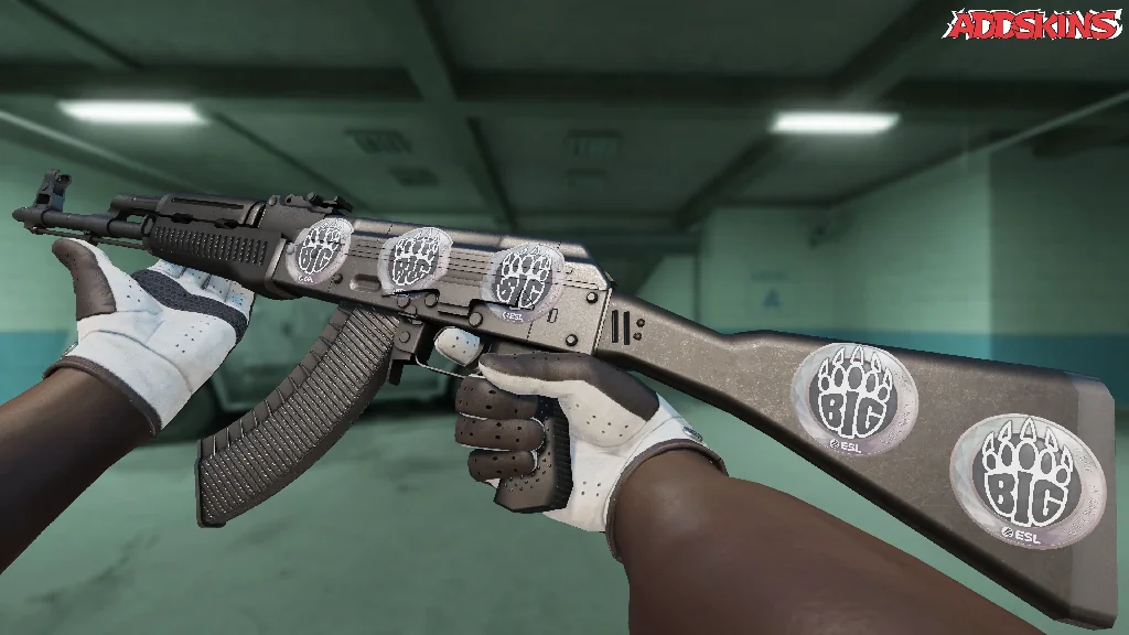 Sticker | BIG | Katowice 2019 inspecting