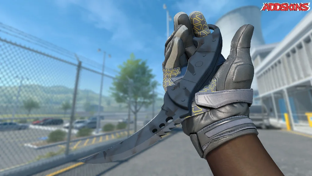★ Talon Knife | Night Stripe inspecting