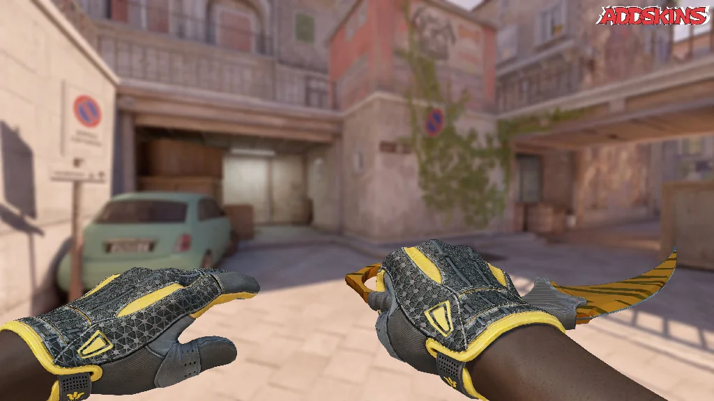 ★ Karambit | Tiger Tooth holding
