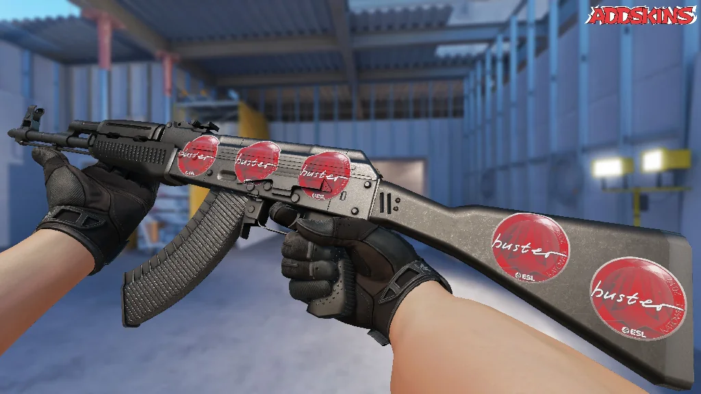 Sticker | buster | Katowice 2019 inspecting