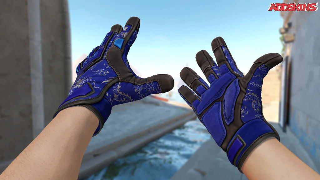 ★ Specialist Gloves | Cloud Chaser inspecting