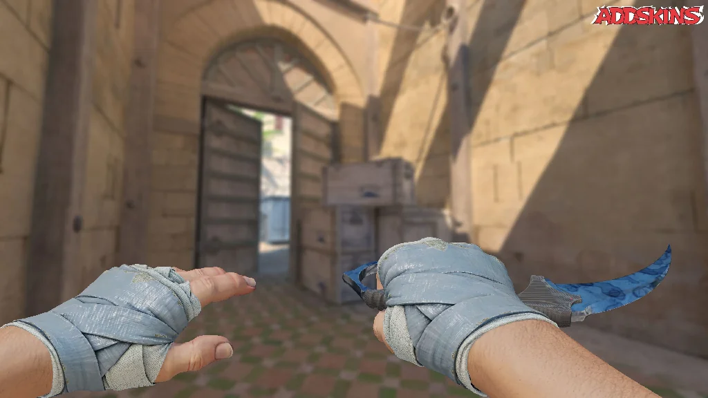 ★ Karambit | Stained holding