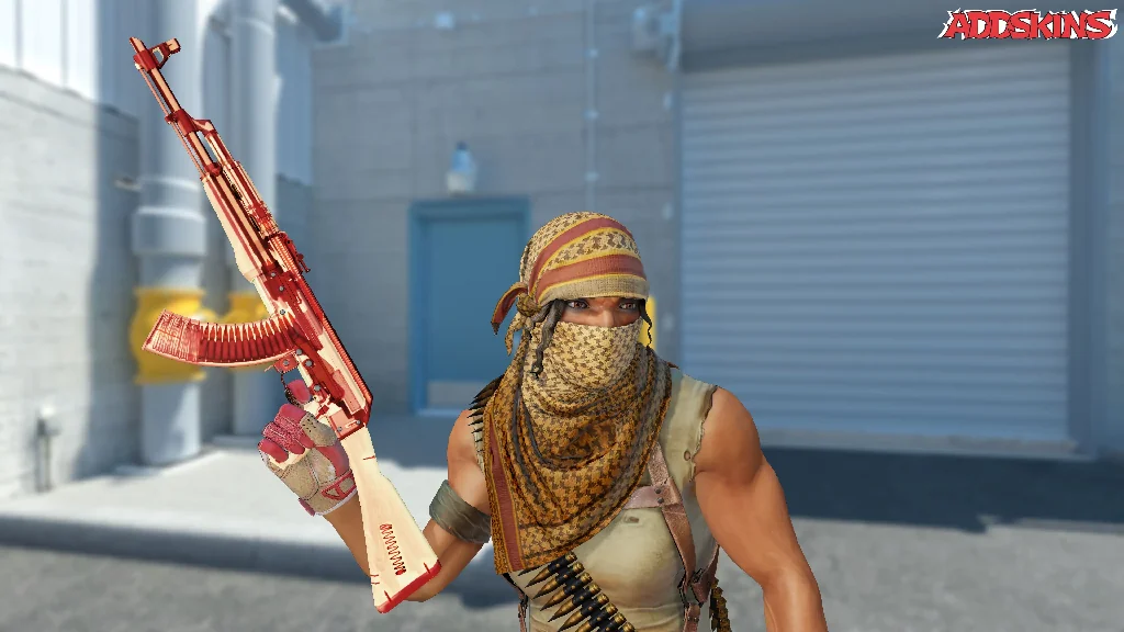 AK-47 | X-Ray pose-2