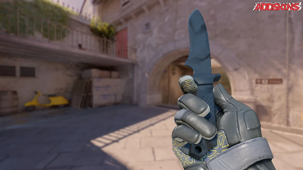 ★ Classic Knife | Night Stripe inspecting