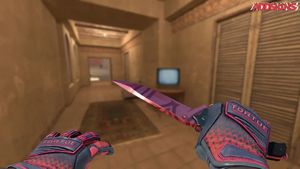★ Nomad Knife | Slaughter holding