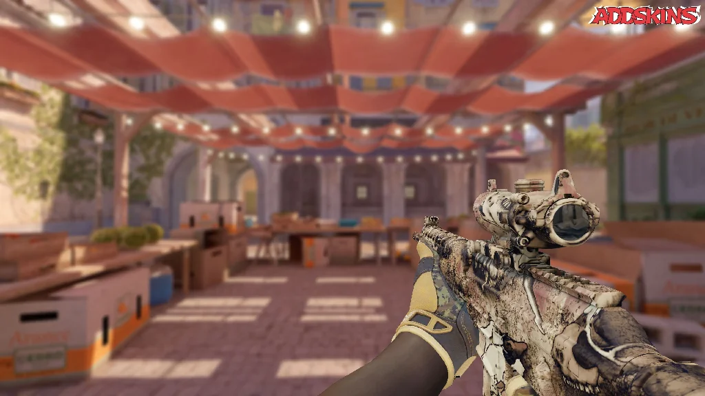 SG 553 | Bleached holding