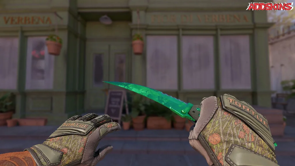★ Flip Knife | Gamma Doppler Emerald holding
